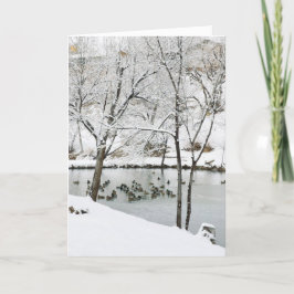 Festiva tarjeta de vacaciones de estanque de invierno