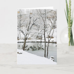 Festiva tarjeta de vacaciones de estanque de invierno