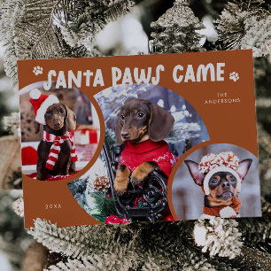 Festiva Tarjeta de vacaciones de foto de perro de Santa Pa