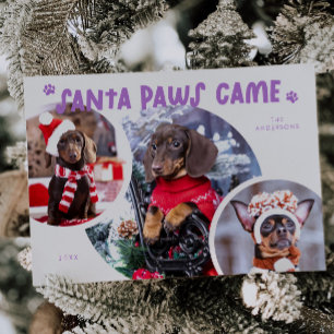 Festiva Tarjeta de vacaciones de foto de perro Lilac de Sa