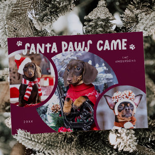 Festiva Tarjeta de vacaciones de fotos de perro de Cranber