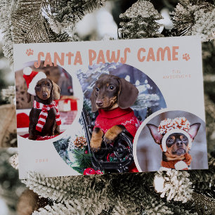 Festiva Tarjeta de vacaciones de fotos de perro de Santa P