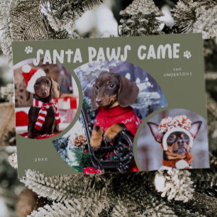 Festiva Tarjeta de vacaciones de fotos de perro verde de S