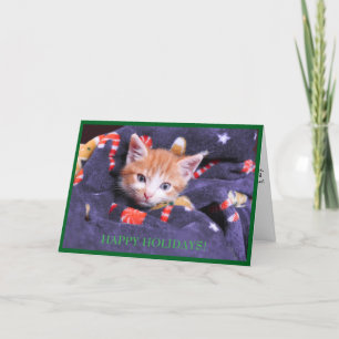 Festiva Tarjeta de vacaciones de gato con manta gris gatit