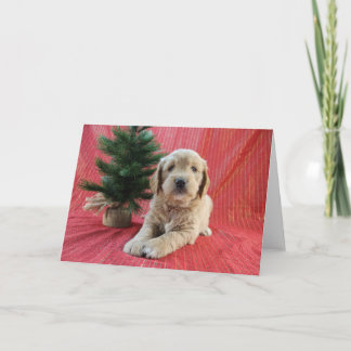 Festiva Tarjeta de vacaciones de Goldendoodle