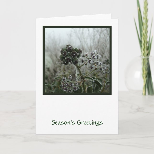 Festiva Tarjeta de vacaciones de invierno Frost (Anverso)