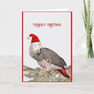 Festiva Tarjeta de vacaciones de loro gris africano