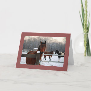 Festiva Tarjeta de vacaciones de Mustang