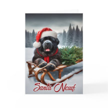 Tarjeta de vacaciones de Newfoundland Santa Newf