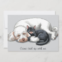 Tarjeta de vacaciones de perro caniche gato ven ac