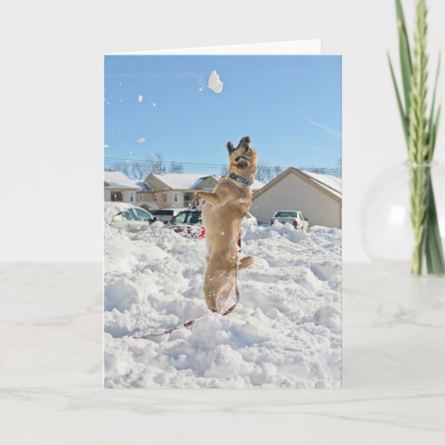 Festiva Tarjeta de vacaciones de Puggle! (Anverso)