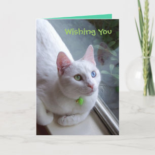 Festiva Tarjeta de vacaciones de serenidad