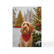 Tarjeta de vacaciones de Spinone Italiano