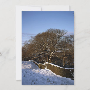 Festiva Tarjeta de vacaciones de Winter Tree Lyme Handley