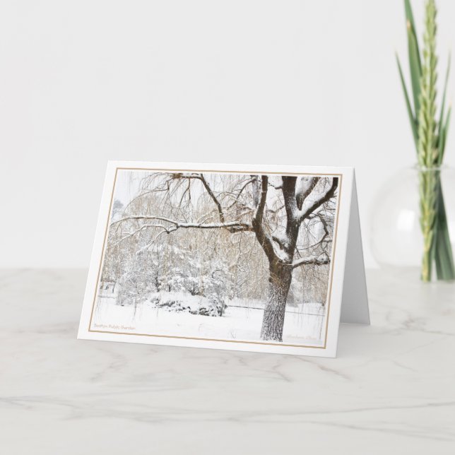 Festiva Tarjeta de vacaciones del Jardín Público de Boston (Anverso)