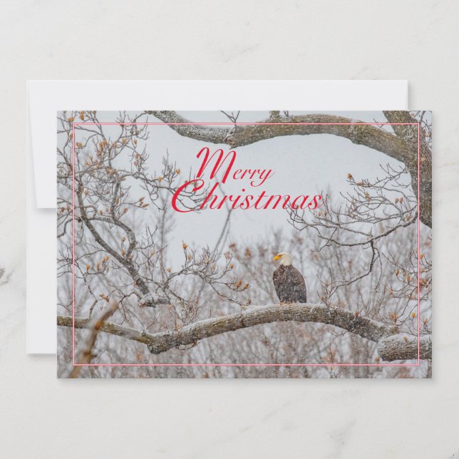 Festiva Tarjeta De Vacaciones Eagle In Snowstorm (Anverso)