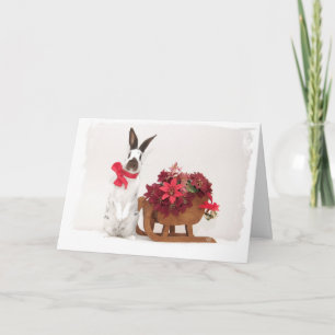 Festiva Tarjeta de vacaciones Hoppy Holidays