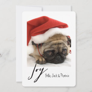 Festiva Tarjeta de vacaciones Joy Modern Mascota