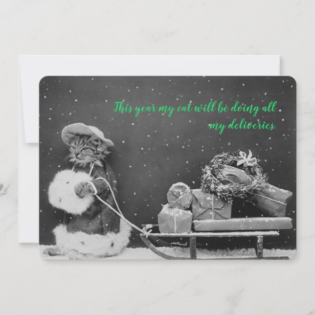 Festiva Tarjeta de vacaciones para compradores de gatos an (Anverso)