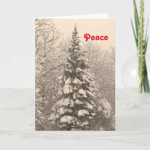 Festiva Tarjeta de vacaciones para Navidades en blanco de