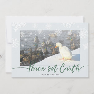 Festiva Tarjeta de vacaciones Peace on Earth Ducks