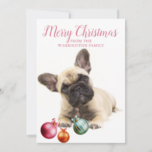 Festiva Tarjeta de vacaciones personalizada para perros   