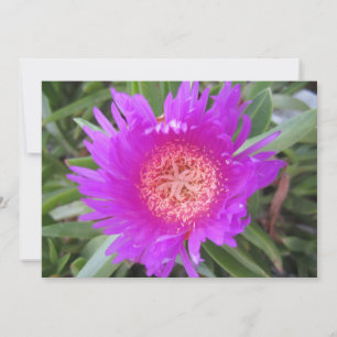 Festiva Tarjeta de vacaciones Pigface Flat