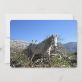 Festiva Tarjeta de vacaciones plana con retrato de caballo