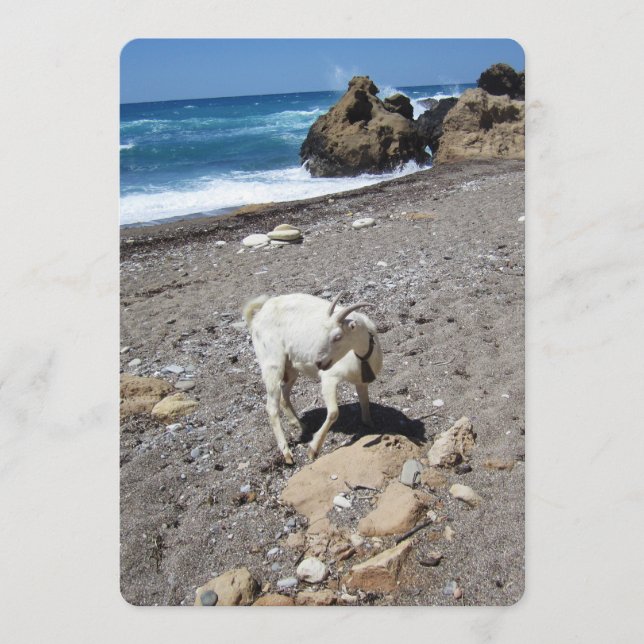 Festiva Tarjeta de vacaciones plana de cabra en la playa (Anverso)