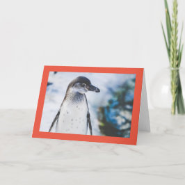 Festiva Tarjeta de vacaciones plegada de PINGÜINO