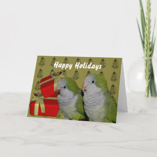 Festiva Tarjeta de vacaciones Quaker Parrot Parakeet Navid