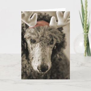 Festiva Tarjeta de vacaciones Reindoodle III