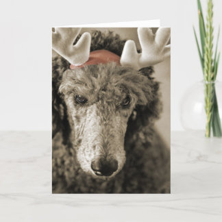 Festiva Tarjeta de vacaciones Reindoodle III