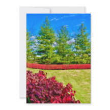 Tarjeta de vacaciones roja y verde