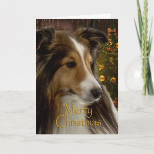 Festiva Tarjeta de vacaciones Sheltie