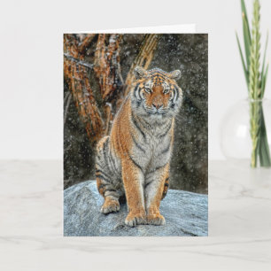 Festiva Tarjeta de vacaciones Tiger Snow Fall