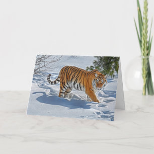 Festiva Tarjeta de vacaciones Tigre en Nieve Profunda