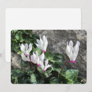 Festiva Tarjeta de vacaciones Wild Flowers Flat