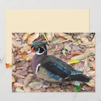 Festiva Tarjeta de Wood Duck Flat