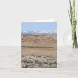 Festiva Tarjeta de Wyo Speed Goat - 4" x 5.6"