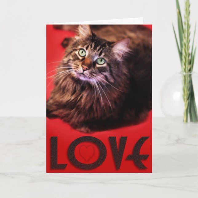 Festiva Tarjeta del AMOR (Anverso)