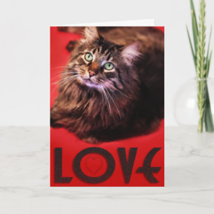 Festiva Tarjeta del AMOR