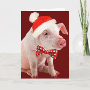 Festiva Tarjeta del cerdo de la barriga Oink