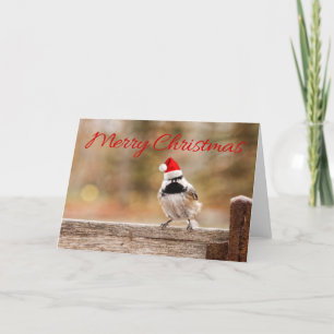 Festiva Tarjeta del Chickadee de Santa de las Felices