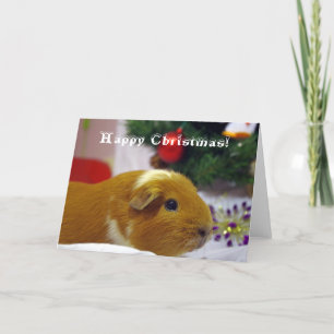 Festiva Tarjeta del conejillo de Indias de las felices