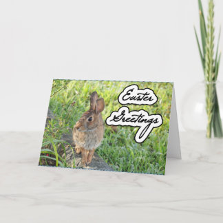 Festiva Tarjeta del conejito del jardín de Pascua