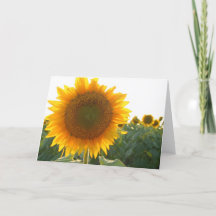 Tarjeta del corazón del girasol (espacio en
