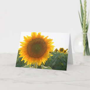 Festiva Tarjeta del corazón del girasol (espacio en