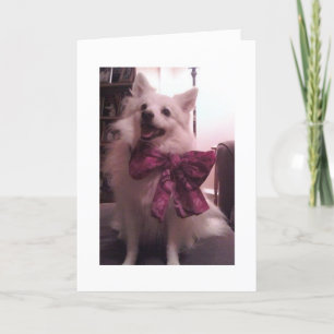 Festiva Tarjeta del día de fiesta de ERU