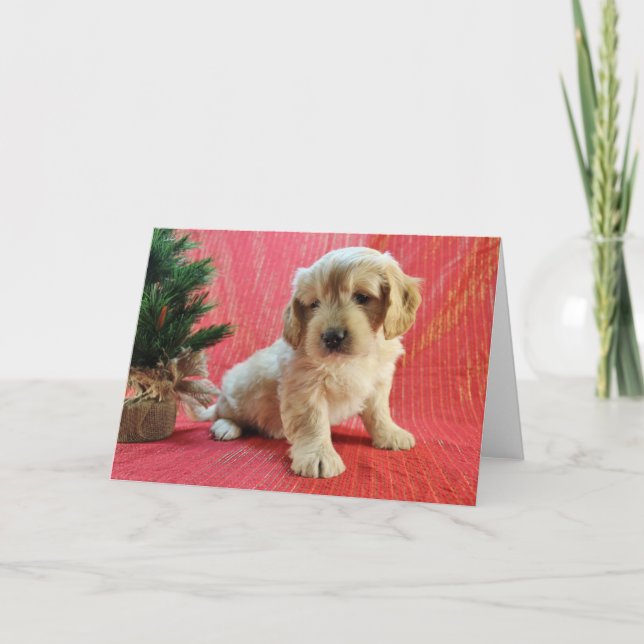 Festiva Tarjeta del día de fiesta de Goldendoodle (Anverso)
